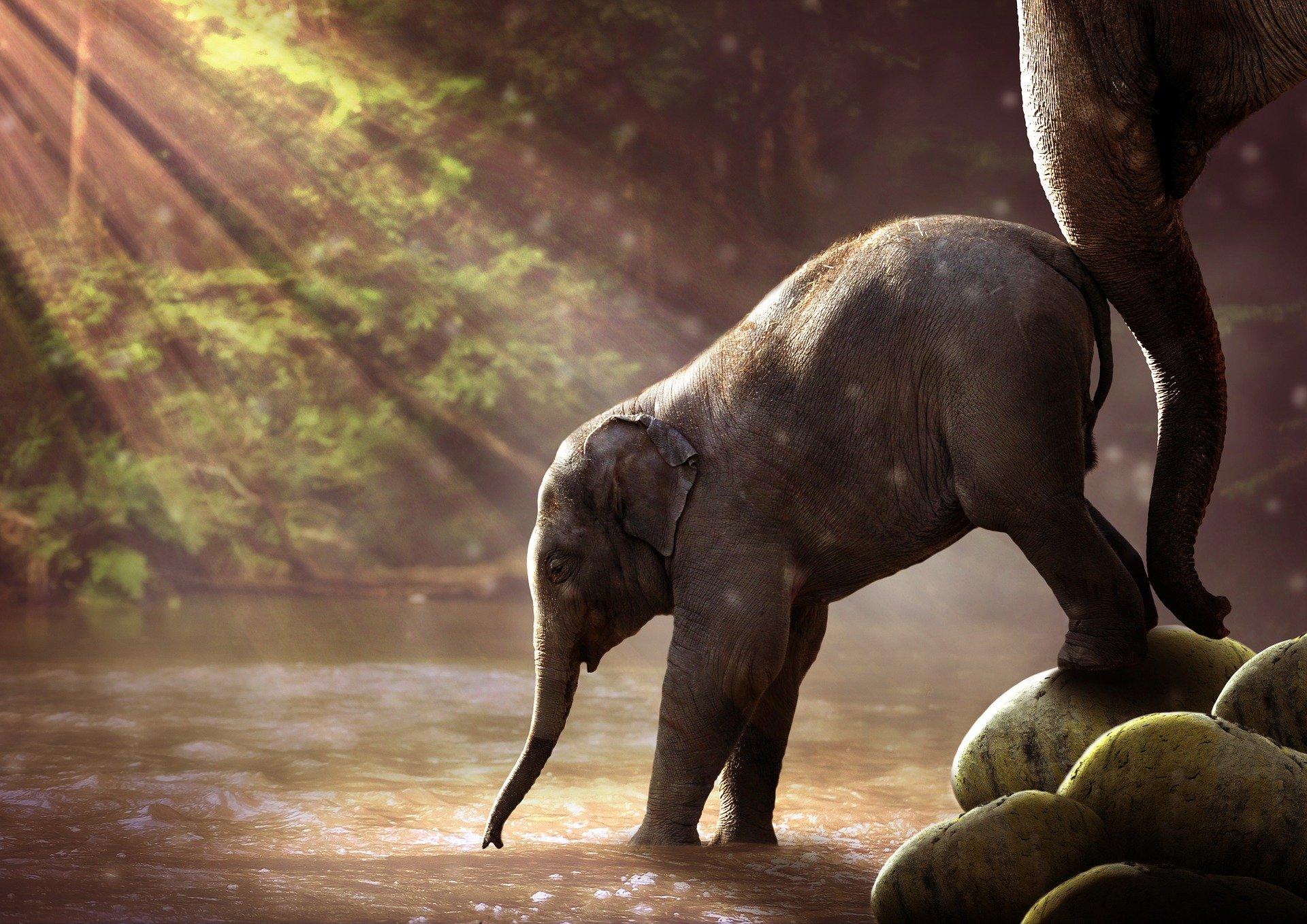 Read more about the article 4 Storytelling Exercises